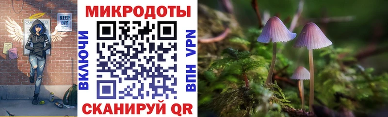 Купить где  Ершов  Псилоцибиновые грибы Cubensis 